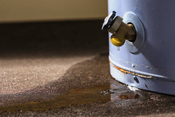 Best 24/7 water damage repair  in Hamilton, OH