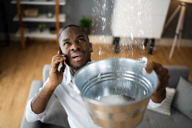 Best Water damage cleanup near me  in Hamilton, OH