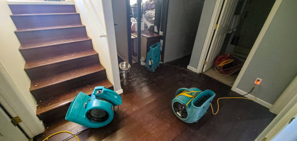 Best Ceiling water damage repair  in Hamilton, OH