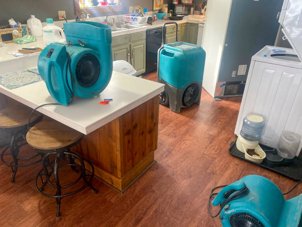 Best Professional water damage repair  in Hamilton, OH