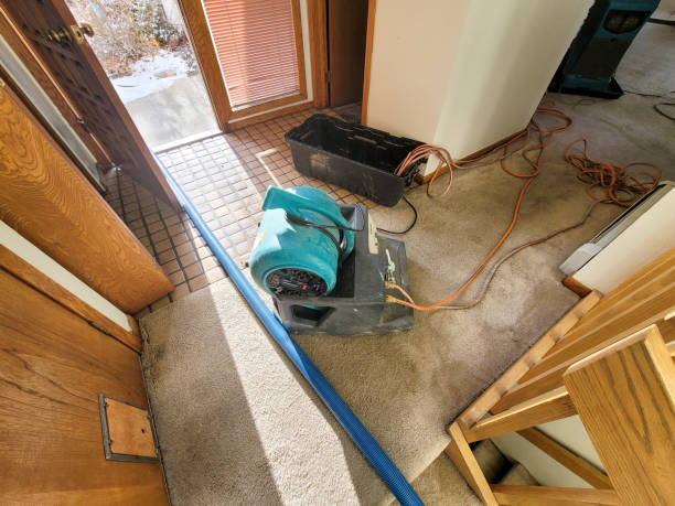 Best Water damage cleanup near me  in Hamilton, OH