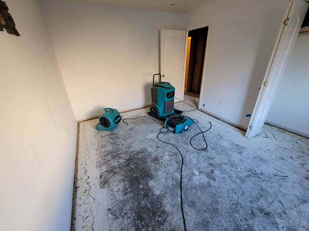 Best Mold removal after water damage  in Hamilton, OH