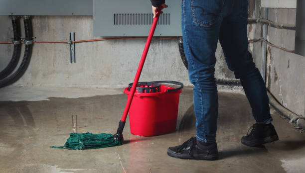 Best Water damage restoration specialists  in Hamilton, OH