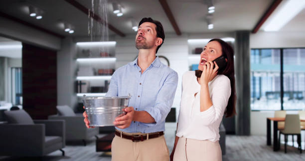 Best Sewage cleanup and water damage restoration  in Hamilton, OH